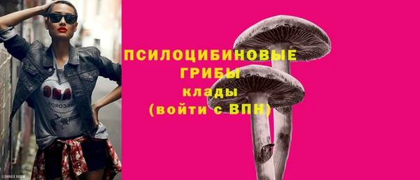 спиды Горно-Алтайск