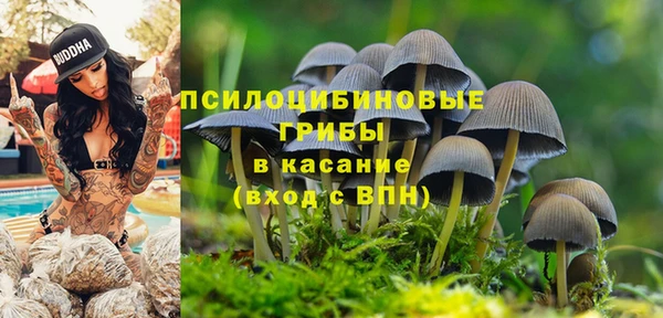 спиды Горно-Алтайск